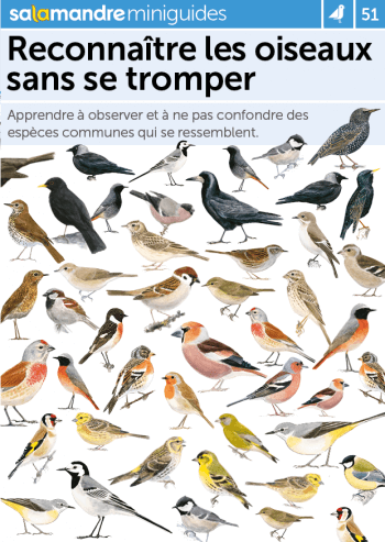 Miniguide 51 : Reconnaître les oiseaux sans se tromper