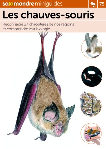 Miniguide 75 : Les chauves-souris