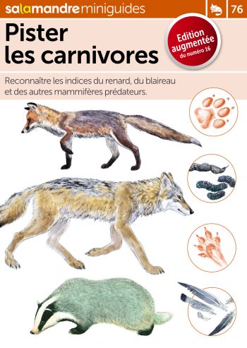 Miniguide 76 : Pister les carnivores