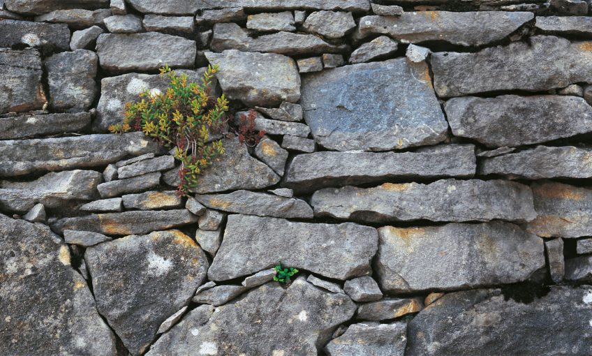 Murmure de pierre, bilan sur les murs de pierre - La Salamandre