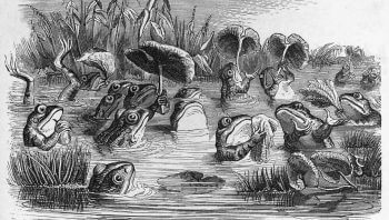 "Le soleil et les grenouilles", illustration tirée du livre Fables de La Fontaine, 1855