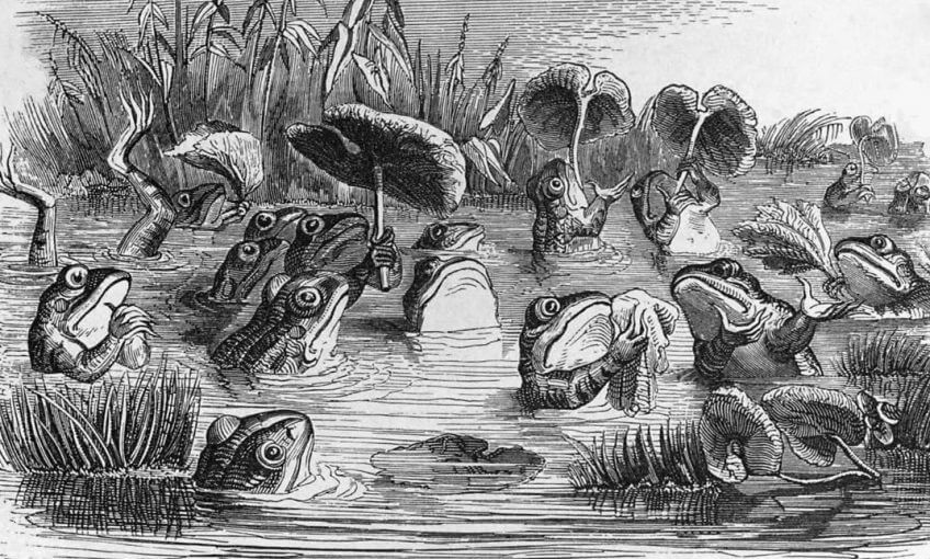 Ces fables qui font parler les animaux - La Salamandre dessin lievre micro