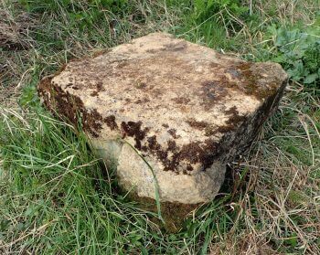 Fabriquez un abreuvoir pour les animaux du jardin