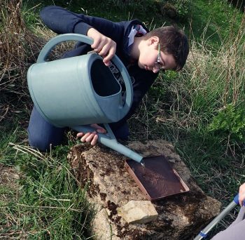 Fabriquez un abreuvoir pour les animaux du jardin