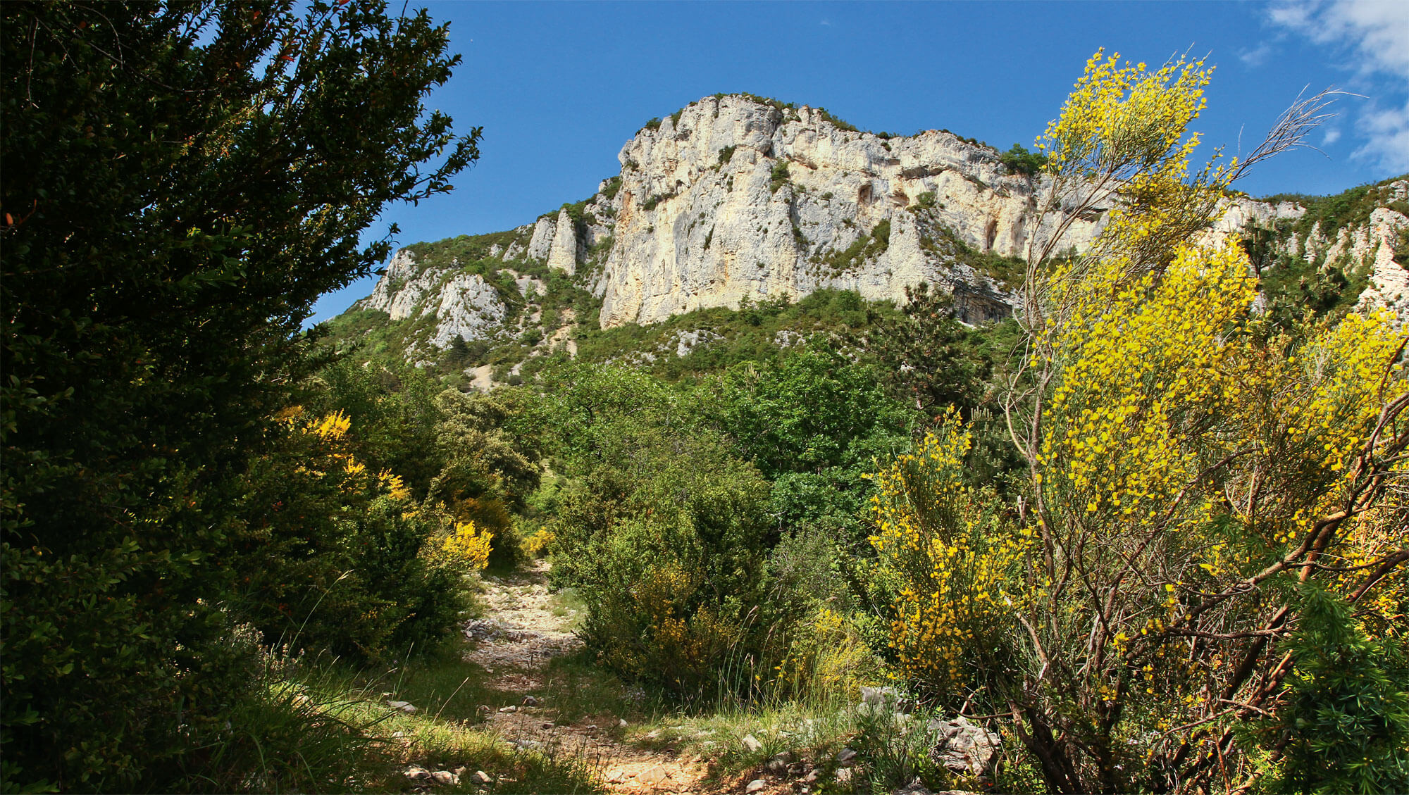 Balade au pied du Vercors et sa nature foisonnante