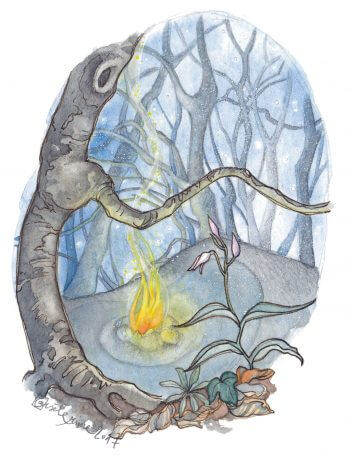 L’herboriste au pinceau, aquarelles - La Salamandre