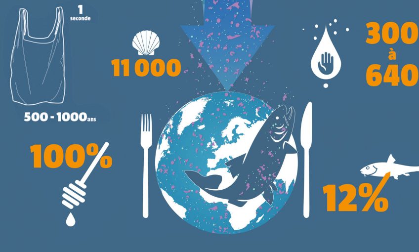 Microplastiques, méga fléau, infographie - La Salamandre infographie