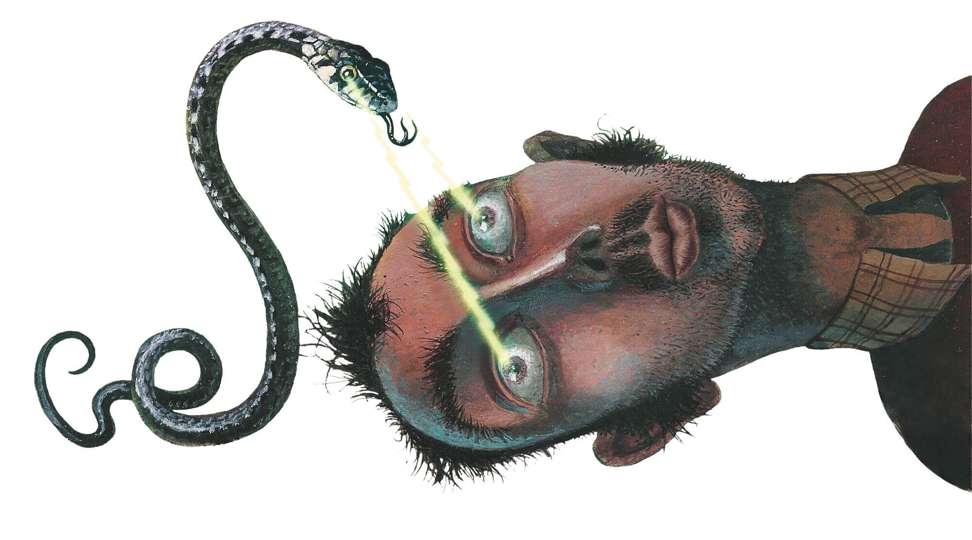 5 vérités sur les mythes autour des serpents - La Salamandre