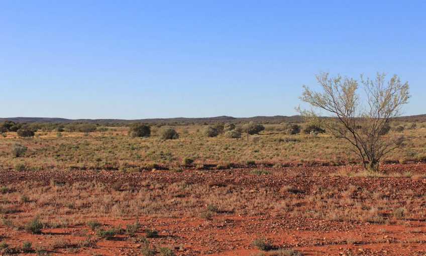 Immense clôture contre les chats en Australie - La Salamandre