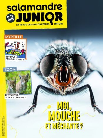 Couverture de La Salamandre Junior n°113