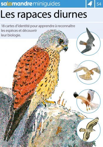 Miniguide 54 : Les rapaces diurnes
