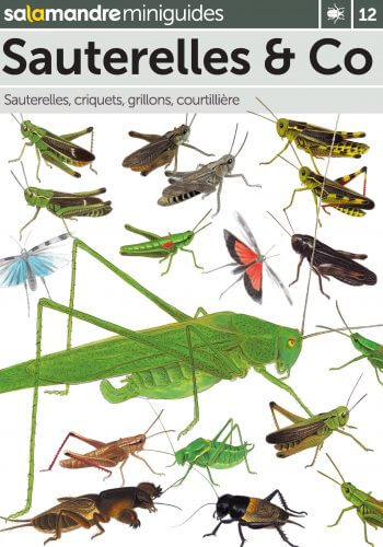 Miniguide 12 : Sauterelles & Co
