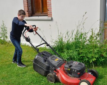 Fauchez votre jardin de façon raisonnable pour attirer les criquets