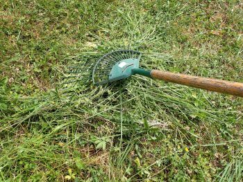 Fauchez votre jardin de façon raisonnable pour attirer les criquets