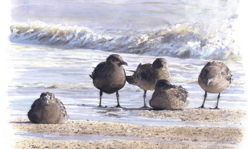 Peintures d'un temps dans la baie - La Salamandre