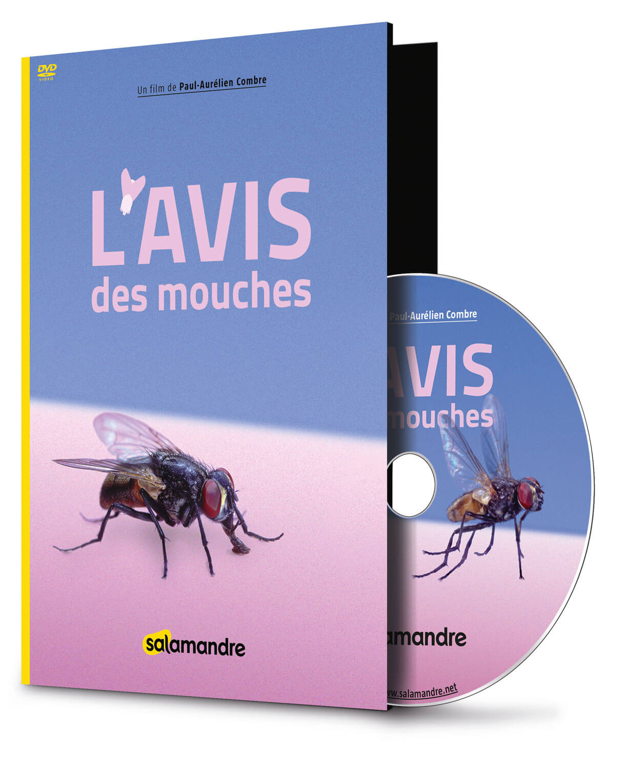 L'avis des mouches, un film de La Salamandre