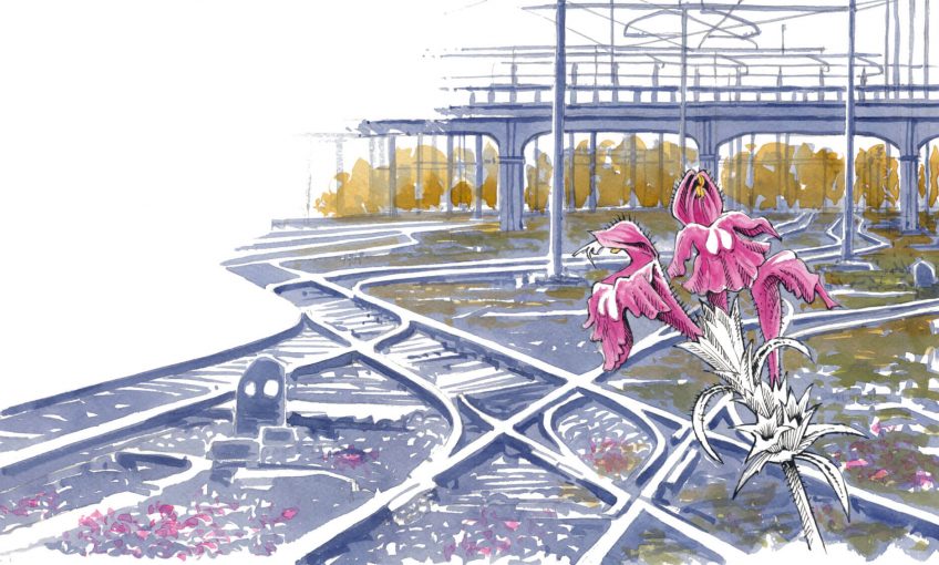 Les jardins de fers ou la flore des voies ferrées - La Salamandre