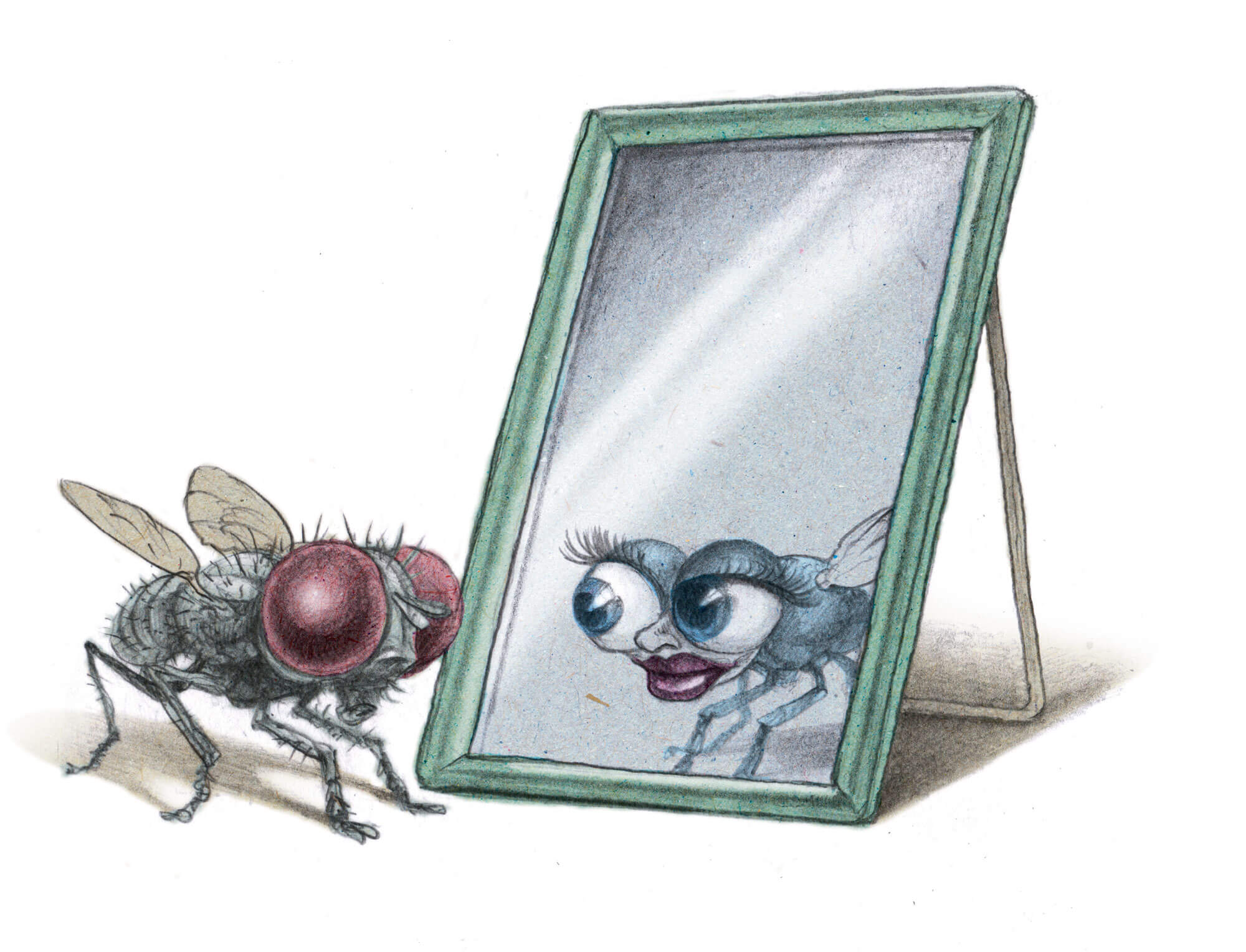 On écrase les fantasmes sur la mouche - La Salamandre