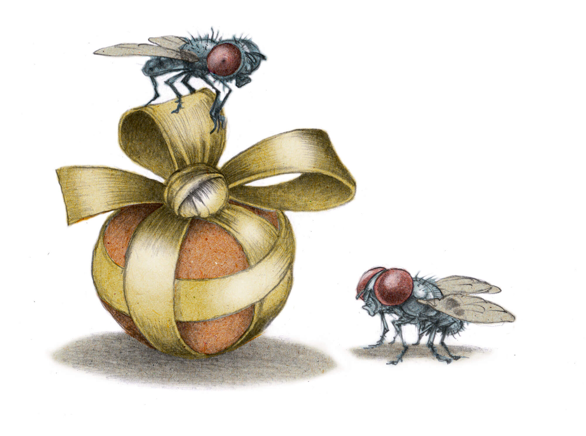 On écrase les fantasmes sur la mouche - La Salamandre