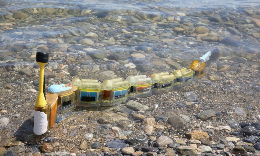 Un robot-anguille détecteur de pollution - La Salamandre