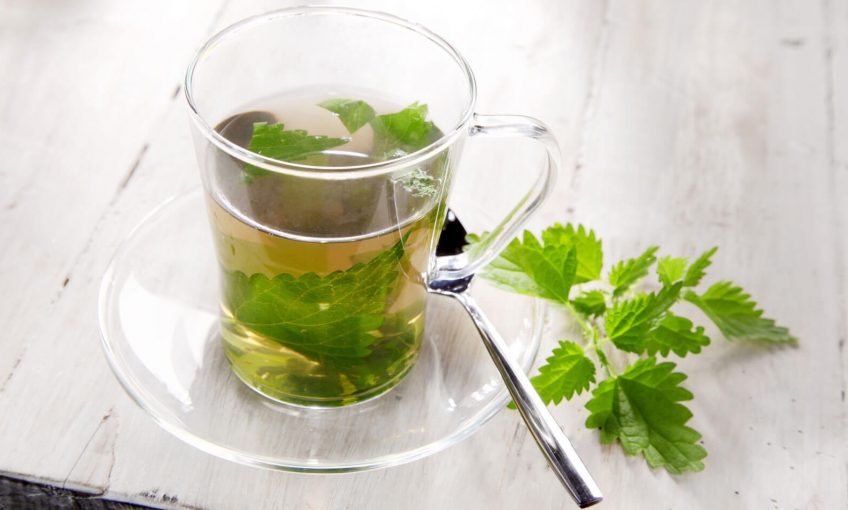 Extraits, mulch et infusions d'ortie - La Salamandre
