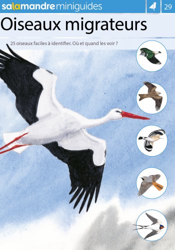 Miniguide 29 : Oiseaux migrateurs