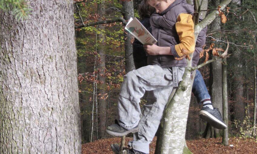 Enfant qui lit un livre sur un arbre.