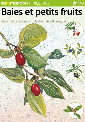 Miniguide 40 : Baies et petits fruits