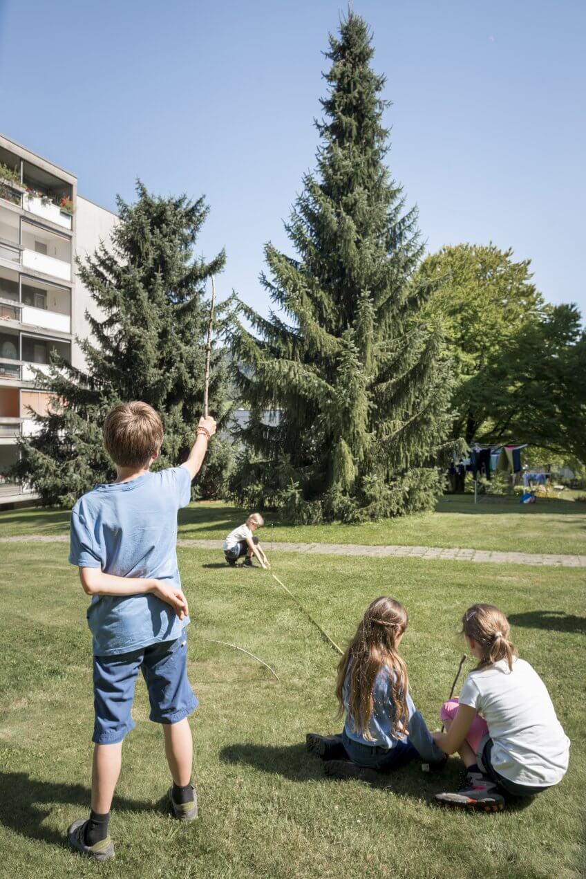 Des enfants qui mesurent un arbre.