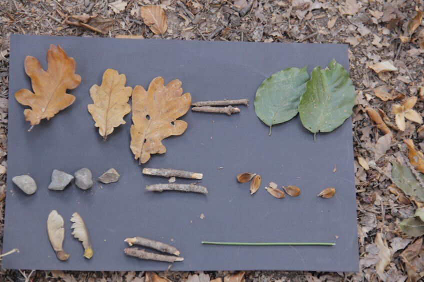 Une suite composée éléments naturels.