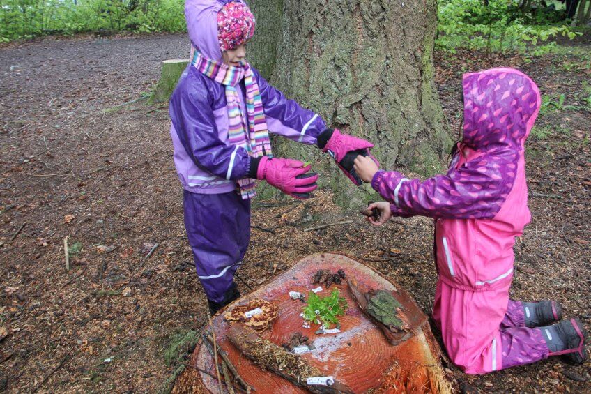 Des enfants réalisent un marché sur une souche d'arbre.
