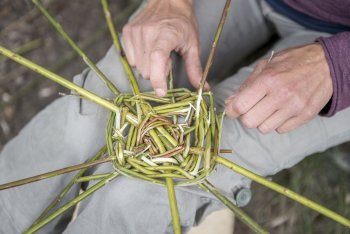 L'étape 6 du panier en osier.