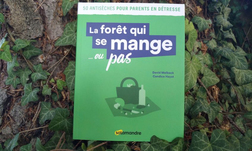 La forêt qui se mange champignons
