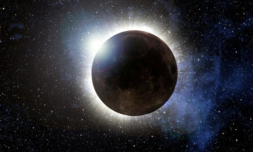 réaction éclipse solaire animaux la salamandre