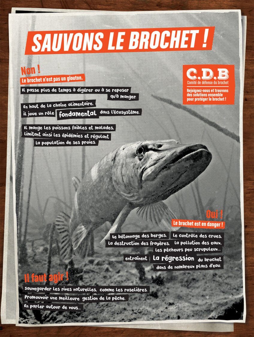 Affiche "Sauvons le brochet"