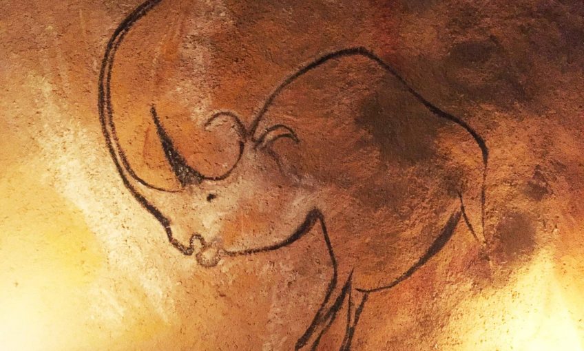 Un rhinocéros dans le jardin ! - La Salamandre