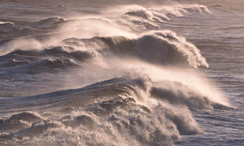 Un Aurevoir à la mer - La Salamandre
