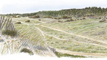 Le long du littoral atlantique, les massifs dunaires peuvent s’étendre sur des kilomètres.
Ces milieux sont hélas souvent menacés par des projets immobiliers ou dégradés par le piétinement.

