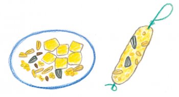 Saucisse de graines