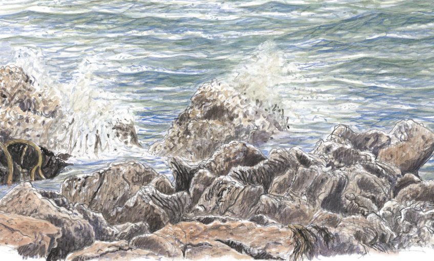Rochers éperdus - La Salamandre