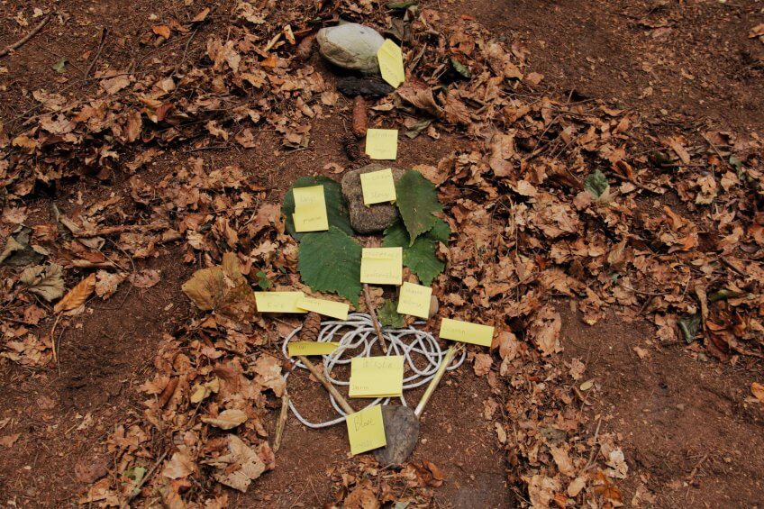 un corps humain en feuille avec les organes placés.