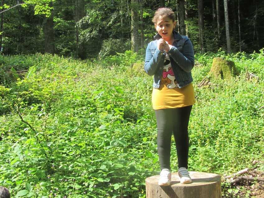 Forêt sinistrolugubre.