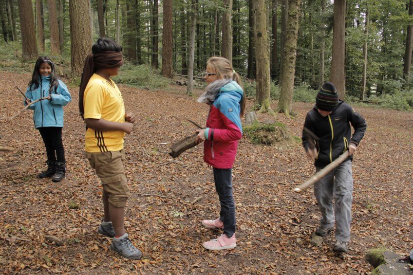Une forêt musicale.