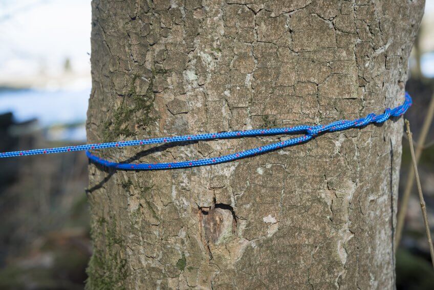 Nœud de bois étape 3.