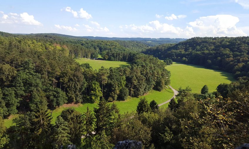 1600 espèces sur 20 hectares mis à jour par Natagora - La Salamandre