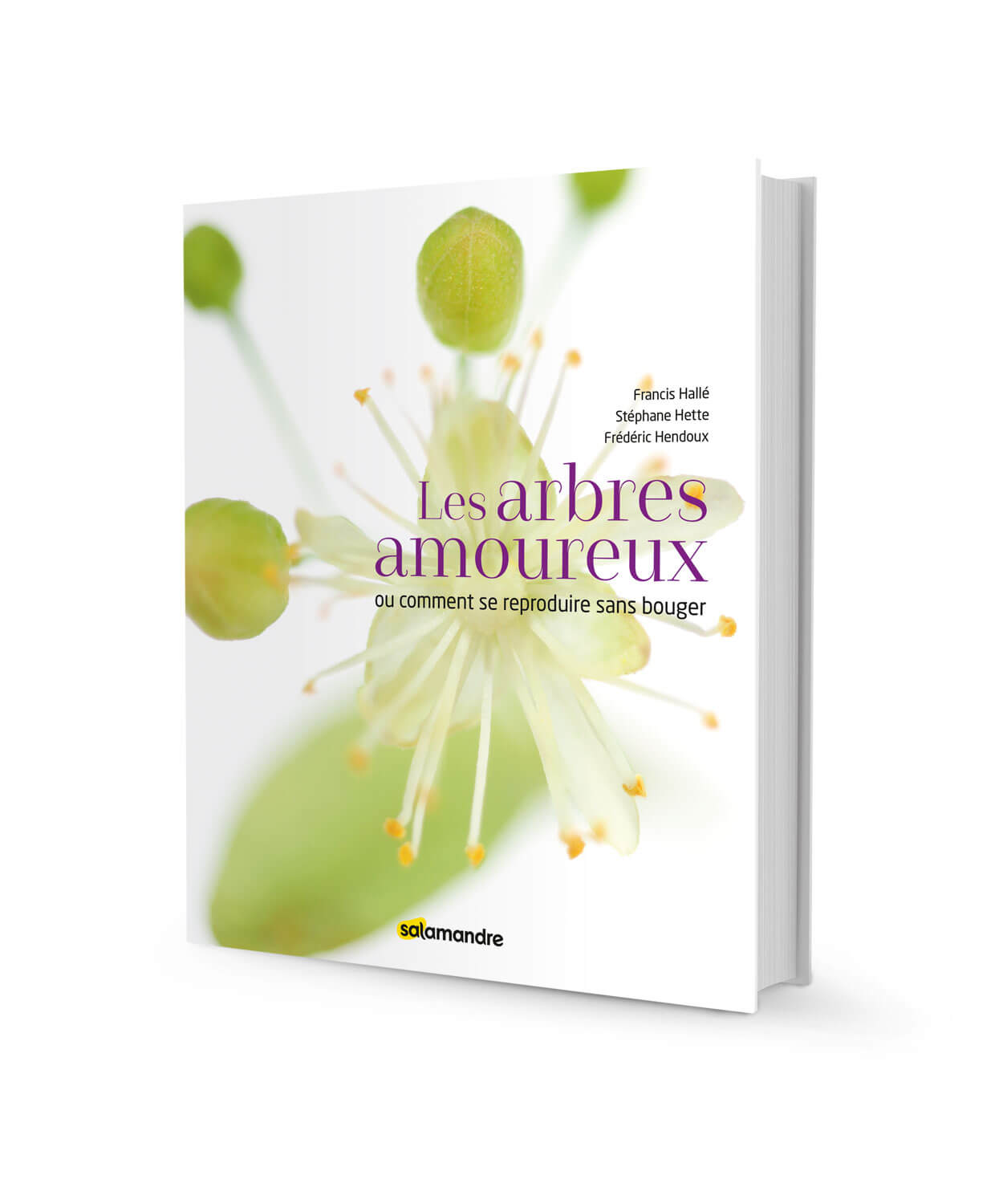Livre: Les arbres amoureux - La Salamandre