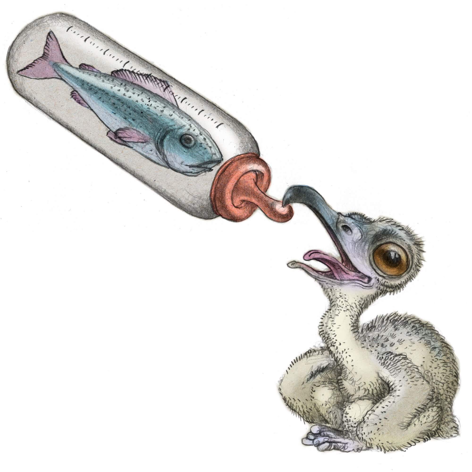 Nounou à balbuzard pêcheur - La Salamandre