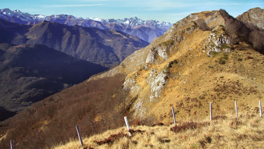 Balade en Ariège, terre des bouquetins des Pyrénées