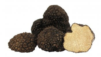 Des noisettes en attendant la truffe - La Salamandre