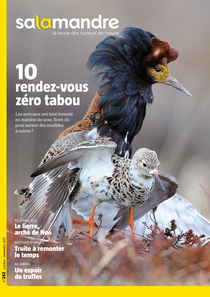 10 leçons de reproduction - La Salamandre